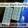 African Black Ant Pills 29